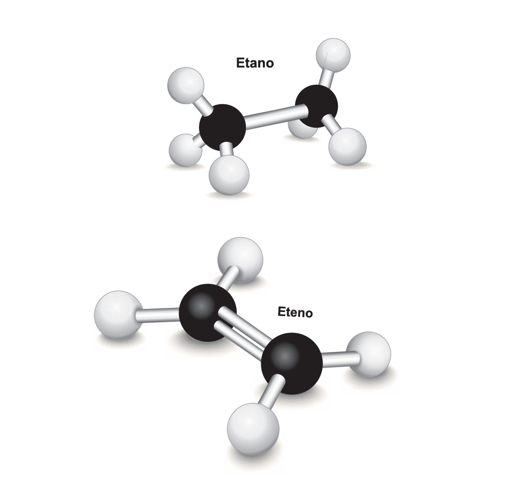 Captura de tela_15-10-2025_13425_.jpeg